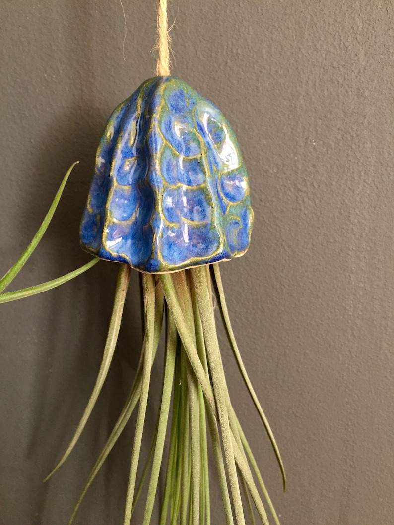 Ceramic Air Plant Holder Jellyfish Hanging Decoration Handmade Gift Tillandsia Porte Plante Intérieur Suspendu Céramique Méduse Cadeau 画像 4