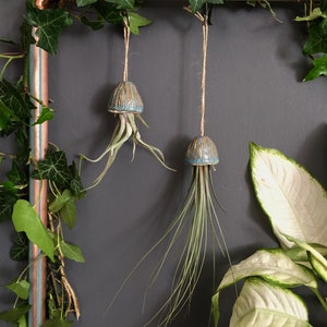 Keramik Luftpflanzenhalter Quallendekoration handgemachtes Geschenk | Tillandsia Fille de L’Air Plante Intérieur Suspendu Céramique Méduse Cadeau
