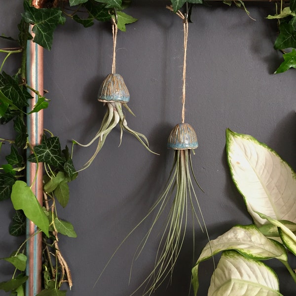 Keramik Luftpflanzenhalter Qualle hängende Dekoration handgemachtes Geschenk | Tillandsia Porte Plante Intérieur Suspendu Céramique Méduse Cadeau