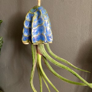Ceramic Air Plant Holder Jellyfish Hanging Decoration Handmade Gift Tillandsia Porte Plante Intérieur Suspendu Céramique Méduse Cadeau image 3