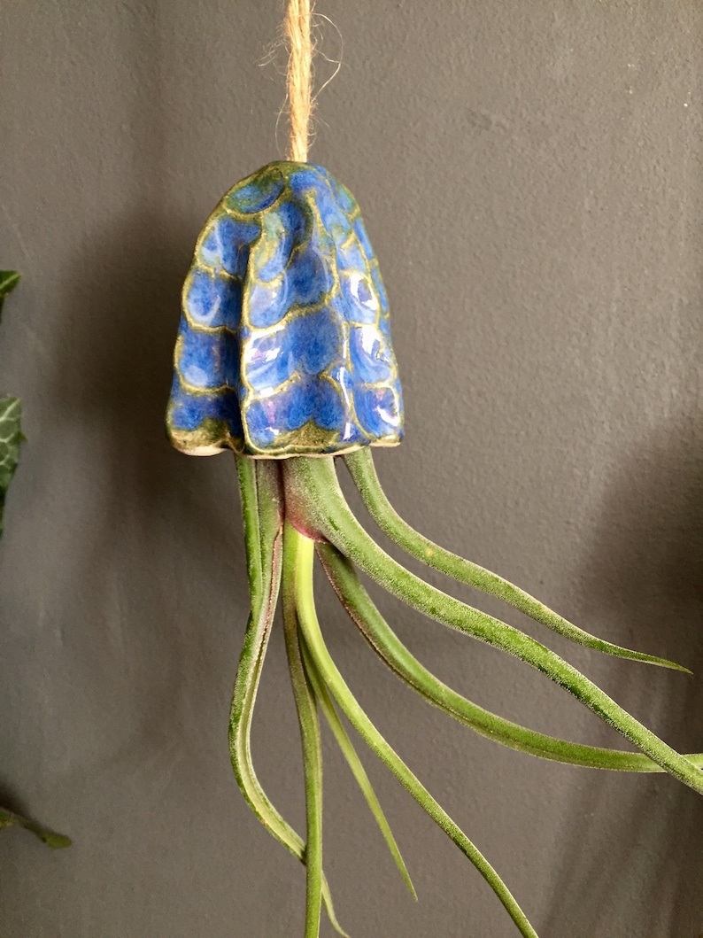 Ceramic Air Plant Holder Jellyfish Hanging Decoration Handmade Gift Tillandsia Porte Plante Intérieur Suspendu Céramique Méduse Cadeau image 3
