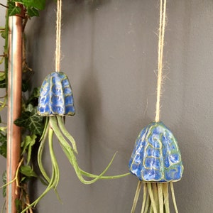 Ceramic Air Plant Holder Jellyfish Hanging Decoration Handmade Gift Tillandsia Porte Plante Intérieur Suspendu Céramique Méduse Cadeau image 2