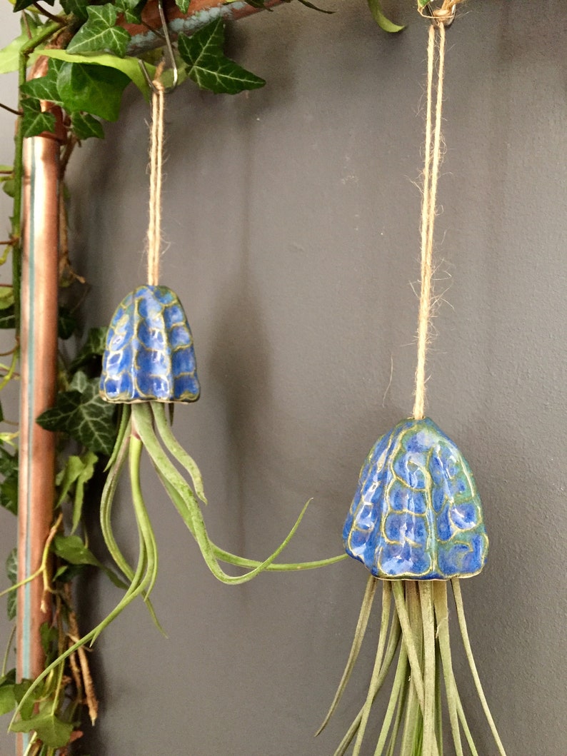 Ceramic Air Plant Holder Jellyfish Hanging Decoration Handmade Gift Tillandsia Porte Plante Intérieur Suspendu Céramique Méduse Cadeau 画像 2