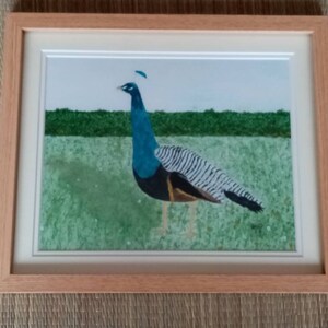 Painting print of &#39;The Peacock&#39;.