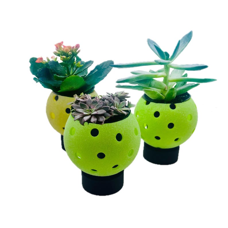 May include: Three small plants potted in bright neon yellow pickleball-shaped containers with black circular bases. Each container features a textured surface with multiple holes. The plants include a flowering succulent and two green succulents.