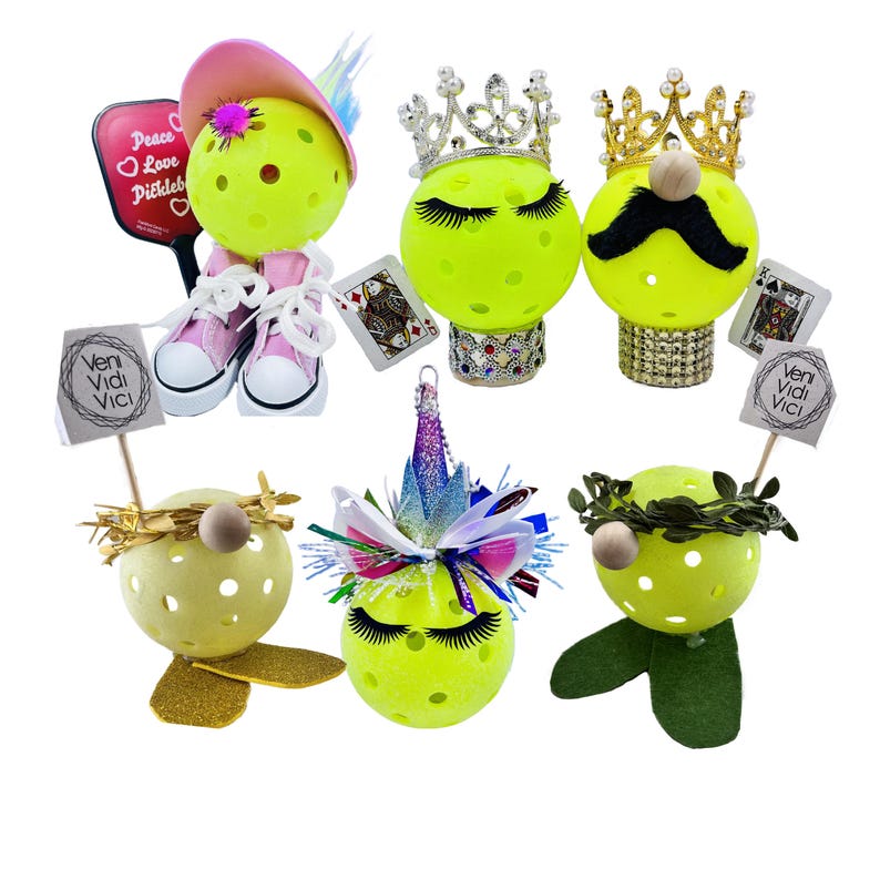 Pickleball Gifts for Players Unique Pickleball Gift Ideas Gifts for Pickleball Lovers Teammates Coaches and Friends image 2