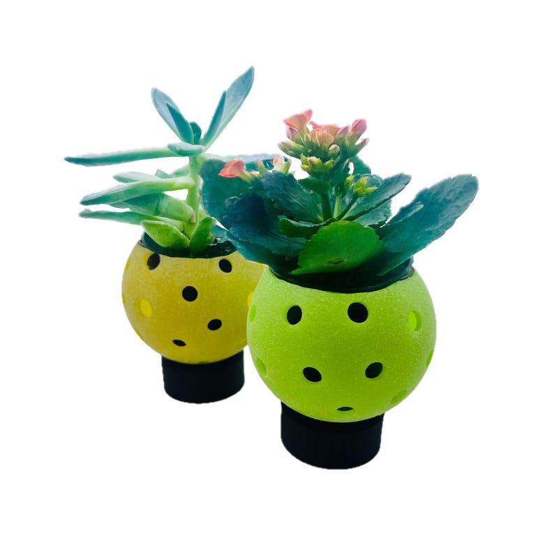 Pickleball Planter for Players Unique Pickleball Gift Ideas Gifts for Pickleball Lovers Teammates Coaches and Friends image 6