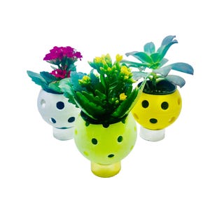 Jardinière de pickleball recyclée : pot succulent amusant avec système de drainage