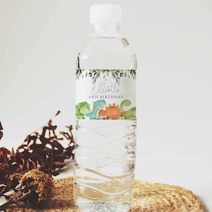 Dinosaur Birthday Water Bottle Label, Dinosaur Water Bottle Label, Dinosaur Kids Birthday Printables, Instant Download, Templett - KB12