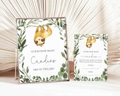 Sloth Baby Shower Candy Guessing Game, Sloth Candy Guessing Game, Sloth Guess How Many Candies, Instant Download, Templett - BB13
