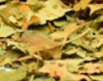 Apple Leaf, Dried Herb, For Beauty, Love Spells, Witchcraft, Pagan, Incense, Spells, Apothecary, Wiccan, Witch