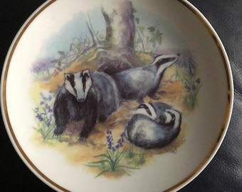 Vintage Collectors Plate Wildlife Of Britain ‘Badgers’ By Susan Beresford, Pagan, Nature Inspired