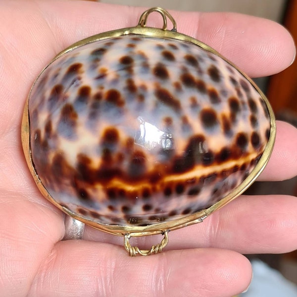 Vintage Cowrie Shell Purse Trinket Box, Pagan, Witchcraft, Wiccan, Altar Piece, Pill Box, Sea Witch, Jewellery Box, Good Luck