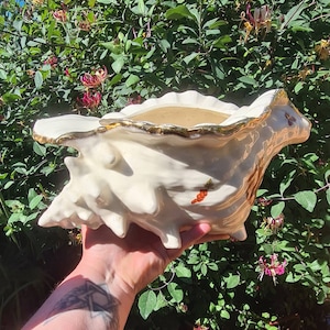 Op de afbeelding: Een witte keramische schelpvormige plantenpot met gouden rand en rode bessenaccenten. De pot wordt vastgehouden door een hand.