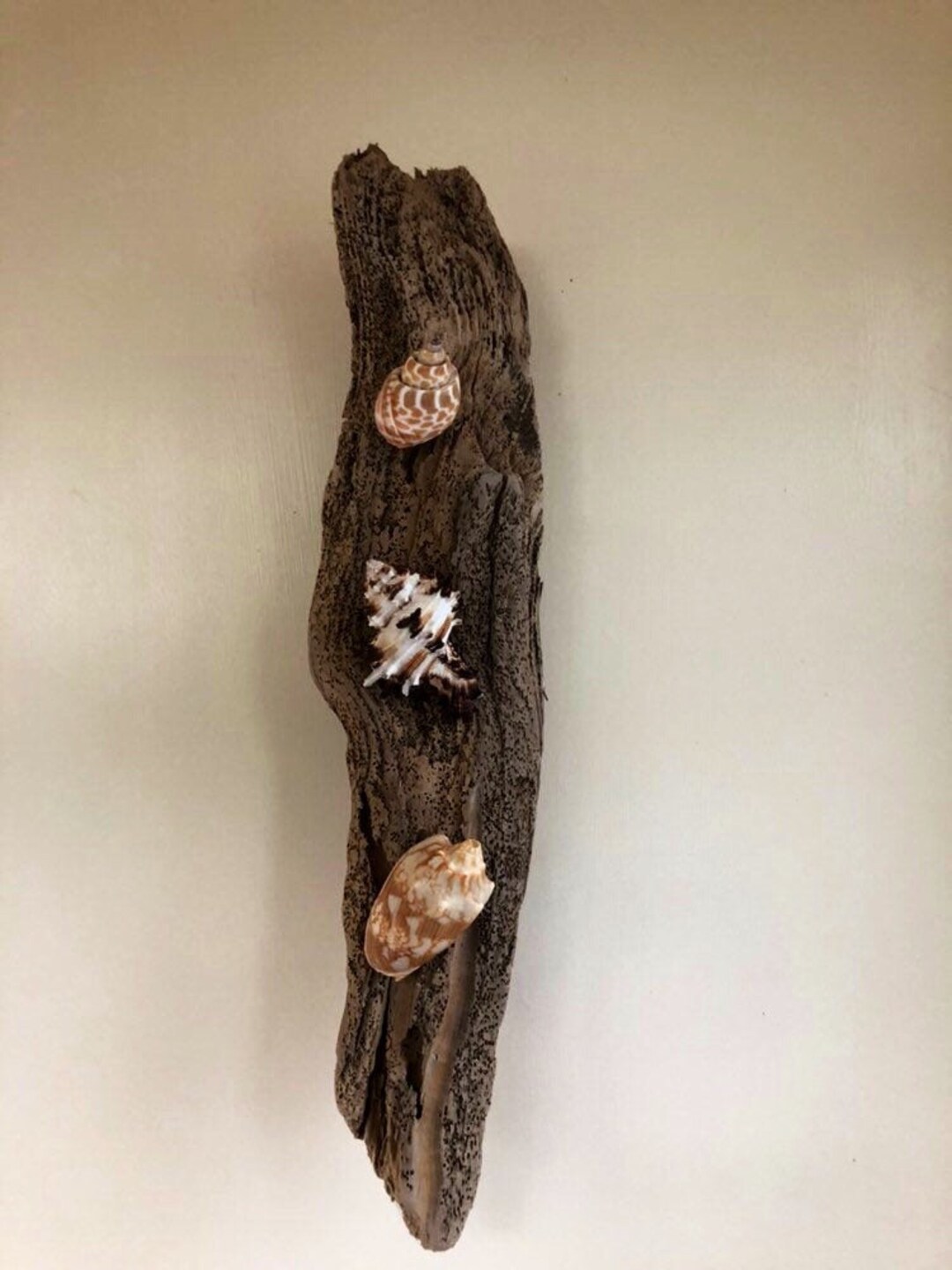 Driftwood Wall Decor Driftwood Display Bathroom Display Etsy