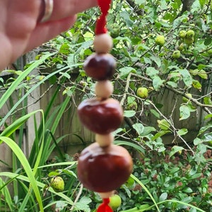 Prosperity Charm Witches Horse Chestnut Charm, Buckeye Lucky Charm, Conker Charm, Success, Witch, Pagan, Wiccan, Witchcraft