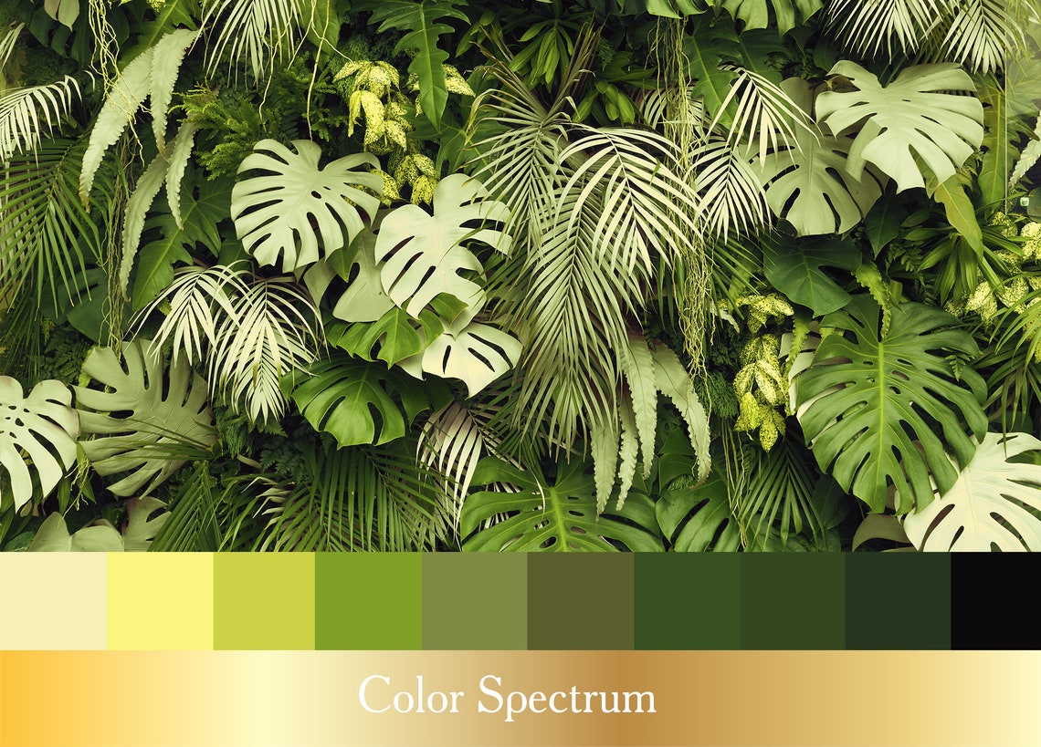 Green Botanical Wall Mural. Tropical Leaves Wallpaper Dark. Etsy