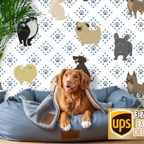 Dogs Wallpaper Wall Mural Peel and Stick Dog Wallpaper - Etsy