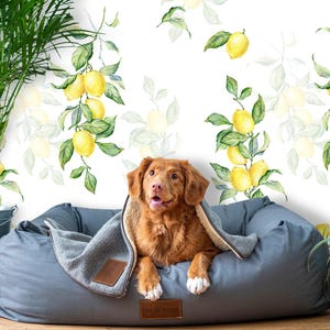Watercolor Lemon Tree Wallpaper Kitchen, Fruit Removable Self-Adhesive Wallpaper, Accent Pasted Mural for Temporary Feature Wall Decor  XC4