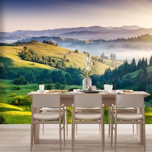 Landscape Mural Wallpaper Peel and Stick, Outlander Mountain Wallpaper Bedroom, Foggy Forest Wallpaper Removable Woodland Adventure  X208
