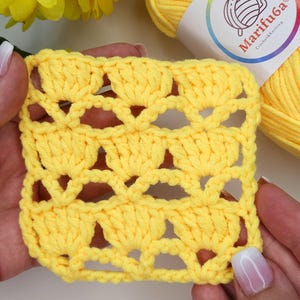 Schema all'uncinetto per coperta, coperta afghana, tappeto a punto conchiglia, passo dopo passo + video