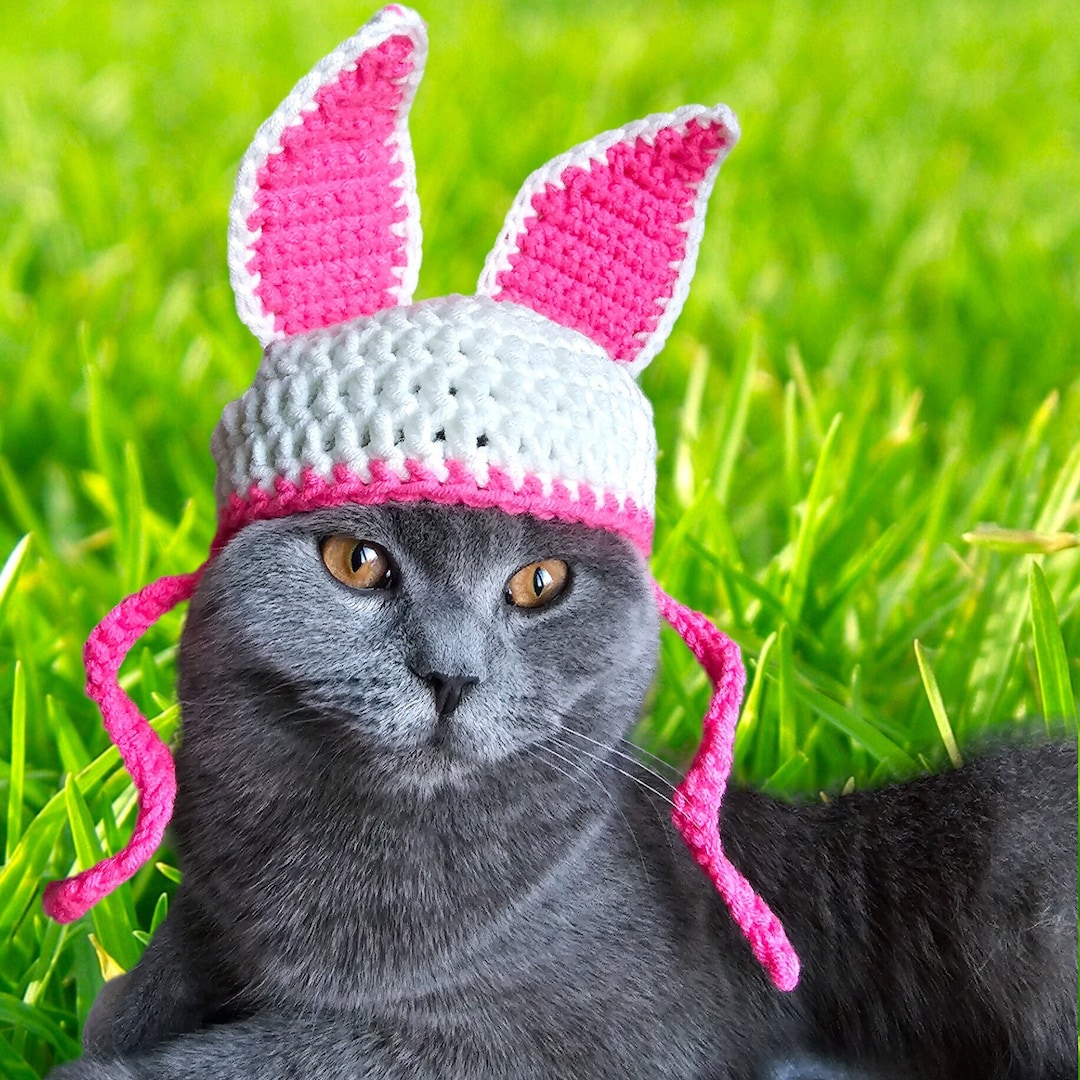 Easter Bunny Ear Hat for Cats or Dog , Crochet Pattern With Ear Holes
