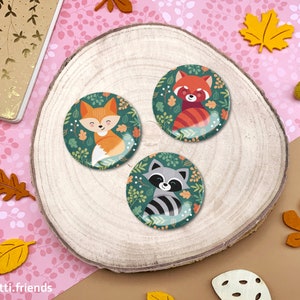 Magnet / button with red panda, raccoon and fox