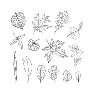 Archivo SVG de hoja, Hojas de otoño SVG, Hojas de otoño SVG, Otoño SVG, Octubre SVG, Hojas de otoño Cricut, Archivo de corte de otoño, Archivo de corte de otoño, Otoño lindo SVG