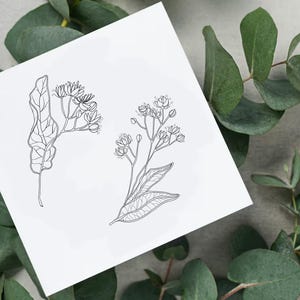 Linden SVG Clipart, Linden blossom, Linden tree, Spring blossom art, Linden flower, Linden tea, Linden leaf, Blossom honey, Linden PNG EPS