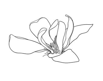 Magnolia flor svg archivos, negro y blanco Magnolia minimalista arte de par...