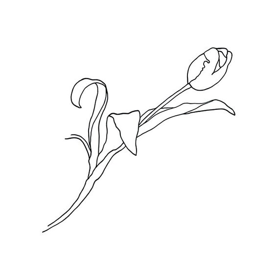 Free Free 54 Flower Line Drawing Svg SVG PNG EPS DXF File