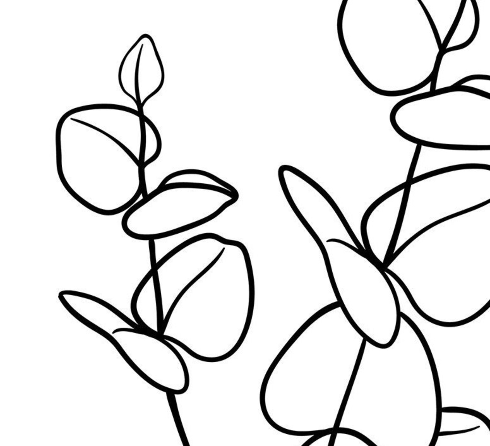 Line Art Leaves SVG Eucalyptus Leaves Clipart Branches PNG