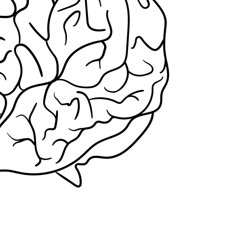 Мозг Svg, Анатомия Svg, Человеческий мозг Svg, Медицинский Svg ...