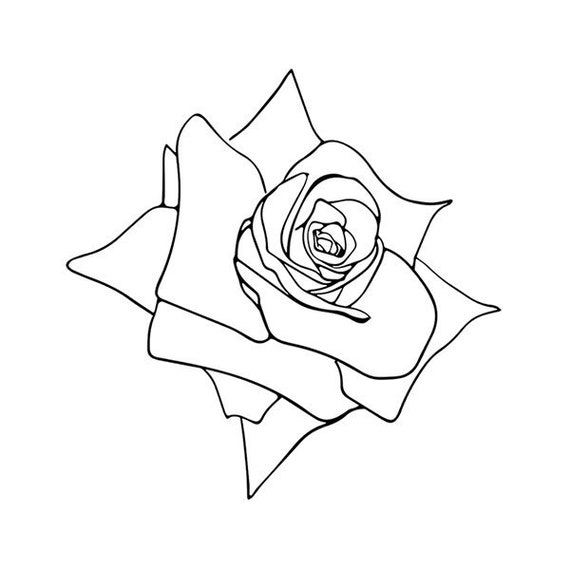Rose Svg Summer Svg Rose Illustration Rose Print Rose Etsy