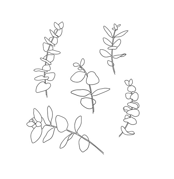 Download Floral Leaf Svg Floral Wreath Svg Branch Frame Clipart Etsy
