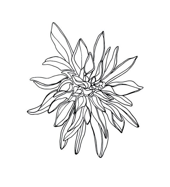 Download Black And White Flower Svg Files For Cricut Monochrome Flower Etsy