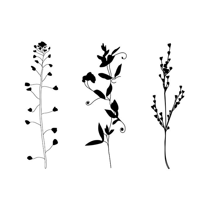 Free Free Wildflower Svg 859 SVG PNG EPS DXF File