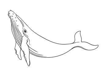 Whale One line art,  Whale print, Whale svg