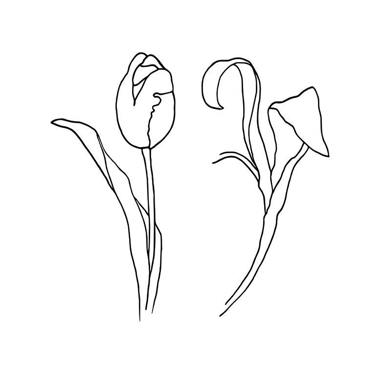 Free Free Flower Svg Sketch 534 SVG PNG EPS DXF File