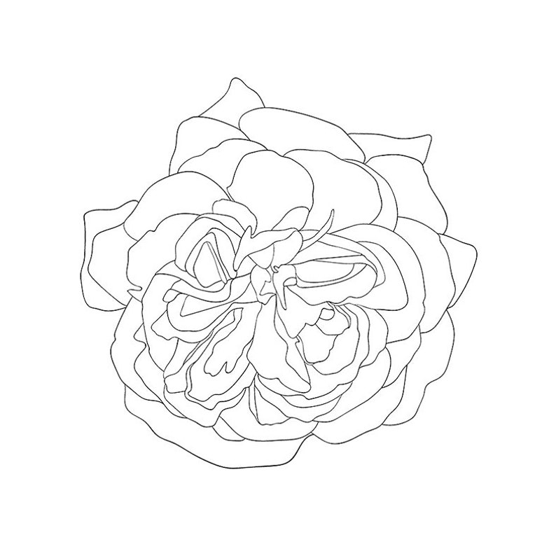 Free Free 225 Flower Line Art Svg SVG PNG EPS DXF File