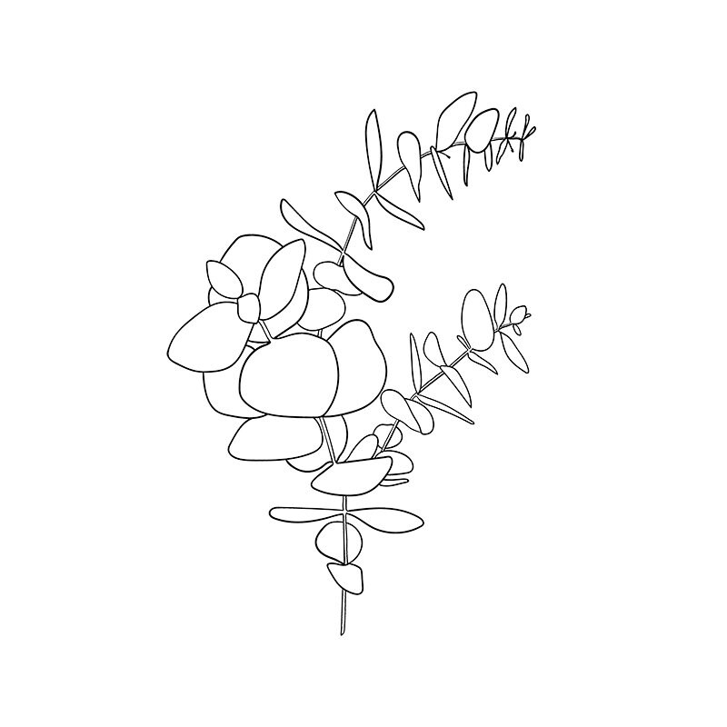 Download Floral Leaf Svg Floral Wreath Svg Eucalyptus Clipart Line Etsy