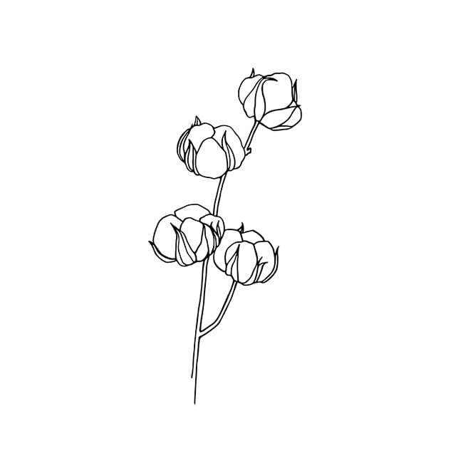 Cotton SVG Cotton Clipart Cotton Boll Clipart Cotton Boll Etsy