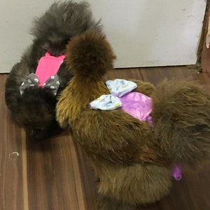 Chicken diapers