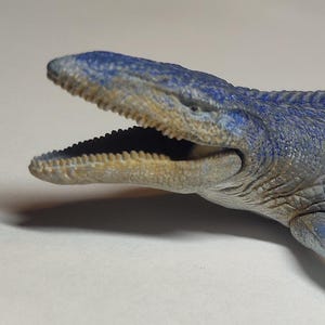 May include: A blue and gray mosasaur figurine with an open mouth showing rows of small teeth. The aquatic reptile model features a textured, scaly skin pattern, four elongated flippers, and a long, tapering tail that curves slightly at the end.