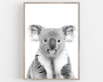 Aussie Rules Koala Nursery D\u00e9cor Doggies. Koala Western Bull Dog Nursery Prints Wall Art Prints AFL Footy Western Bulldogs