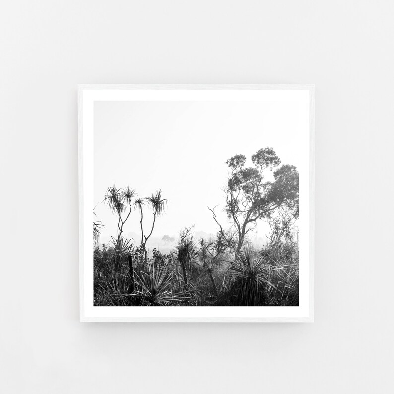 DIY Print Black and White Wall Art Australian Bushland Etsy