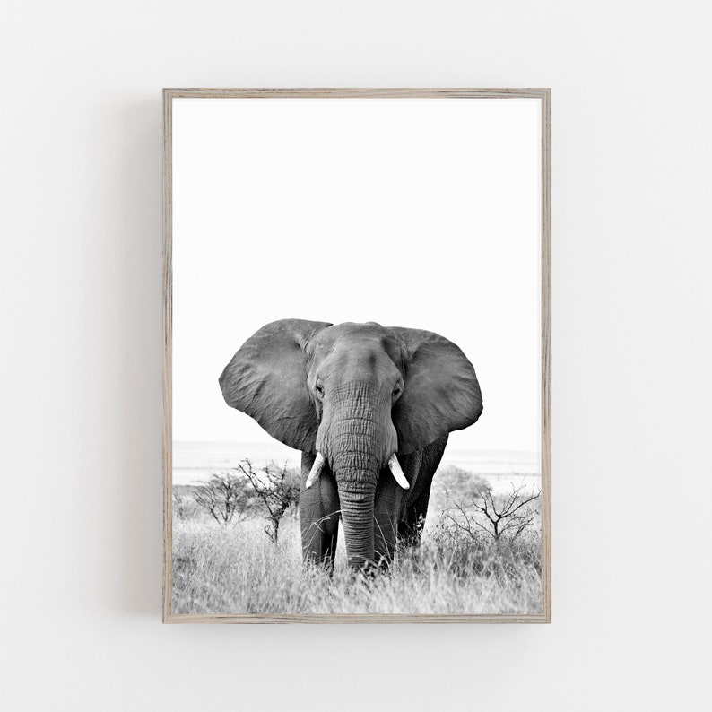 Elephant Print Black and White Printable Wall Art Digital Etsy