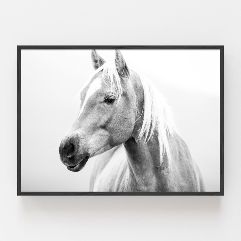 Black and White Horse Photo Print Horizontal Printable Wall Etsy
