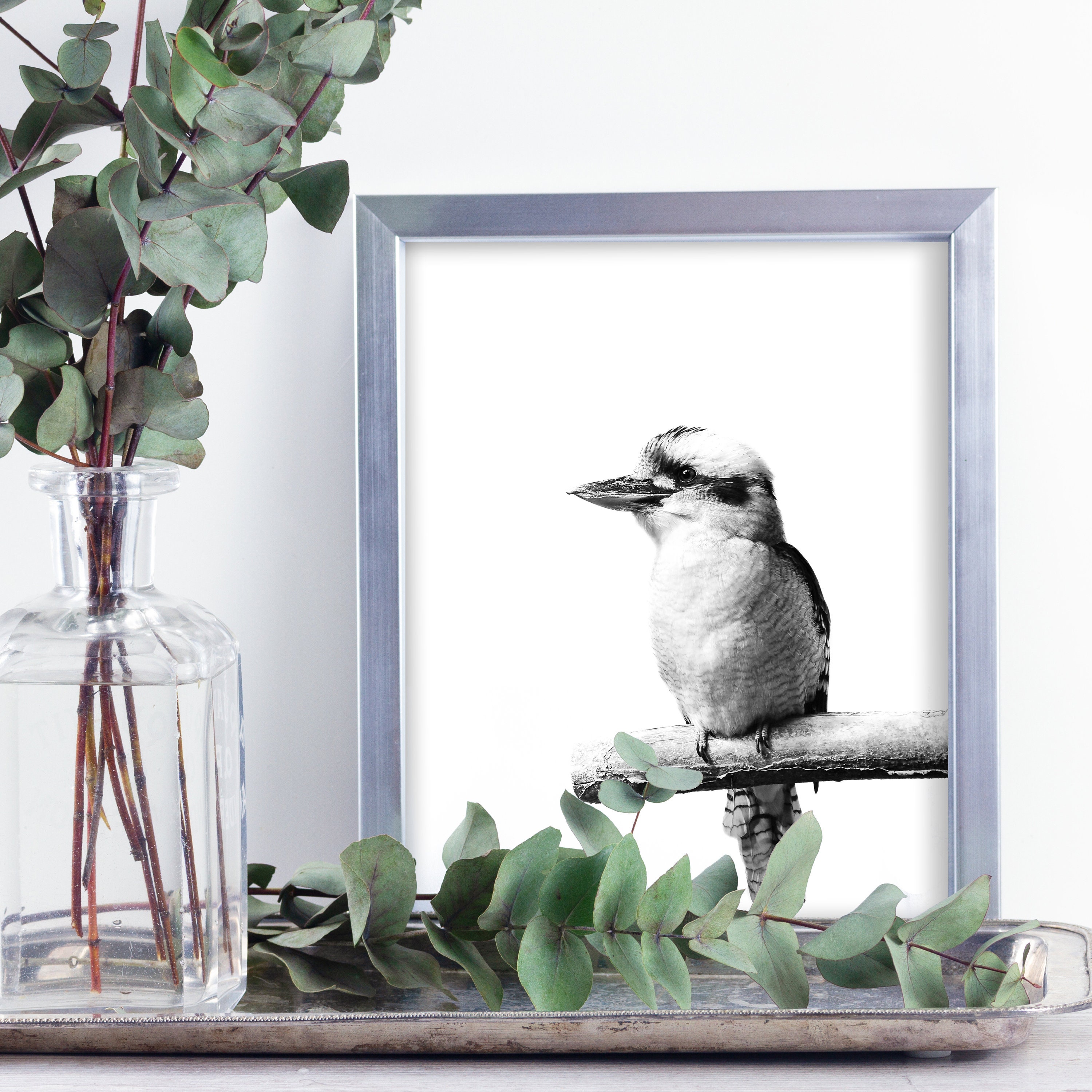 Kookaburra Print Black and White Wall Art Australian | Etsy