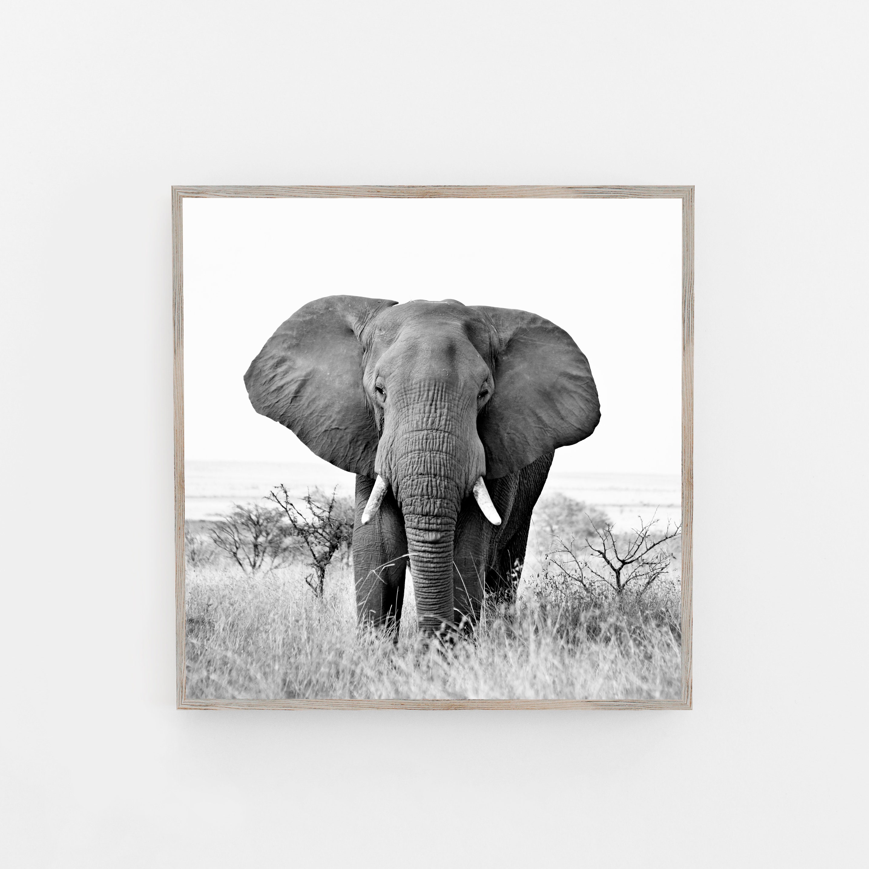 Elephant Print Black and White Printable Wall Art Digital Etsy